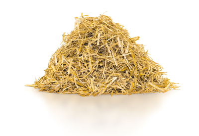 Save Straw / Save Time